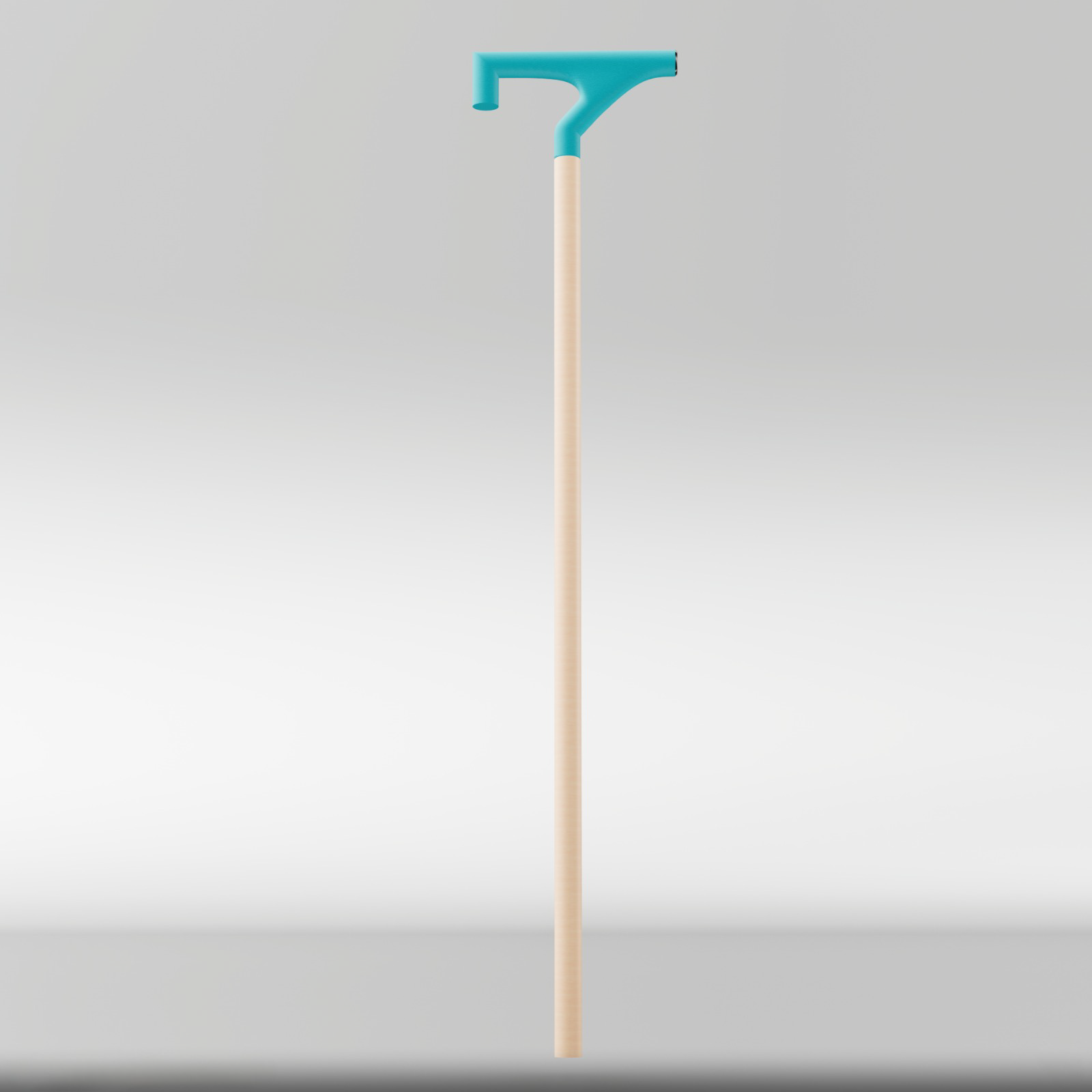 RAMZ 1 walking stick